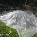 Row covers on a garden bed