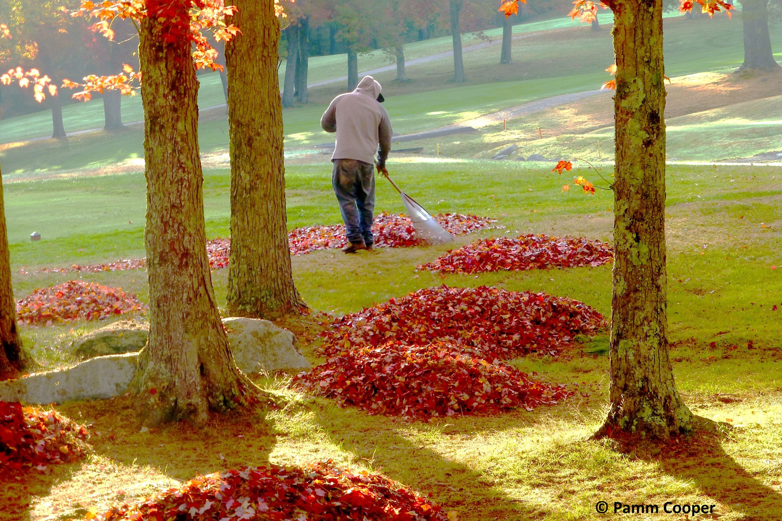 Raking Leaves