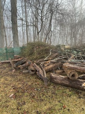 Brush pile against natural stone wall