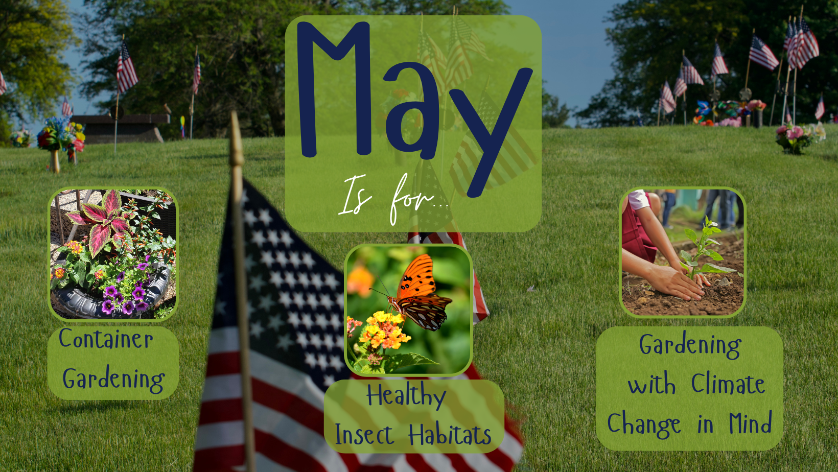 May is for Container Gardening, Healthy Insect Habitats & Gardening with Climate Change in Mind