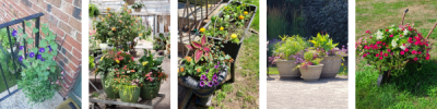 Different kinds of container gardens