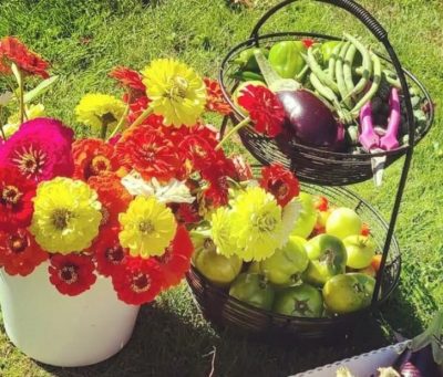 A bucket of cut flowers and a basket of harvested veggies