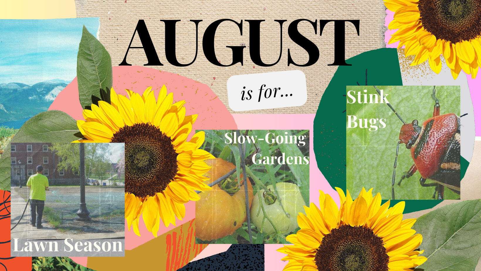 July is for Lawn Season, Slow-Growing Gardens and Stink Bugs