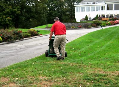 Slice Seeding a thinned lawn area