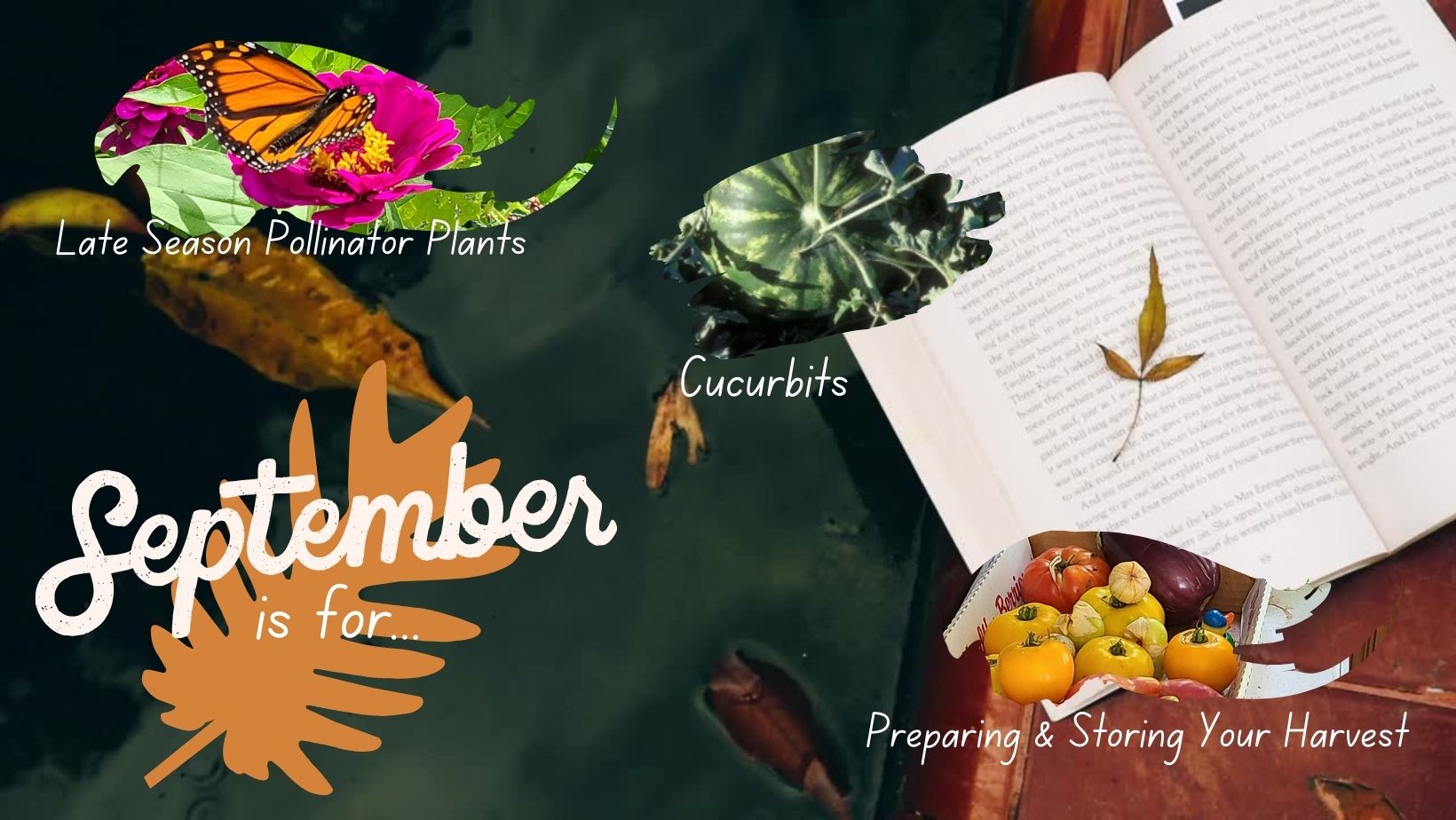 September is for Late Season Pollinator Plants, Cucurbits, Preparing & Storing your Harvest