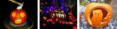 Collection of Jack O Lanterns