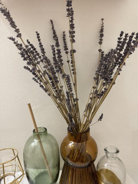 Dried Lavender in a vase