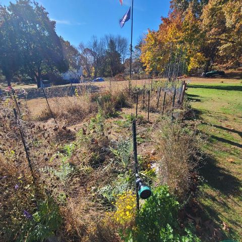 Garden bed in Autumn