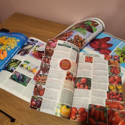 Seed catalogs piled on a desk