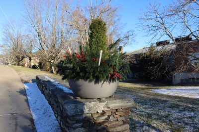 Holiday planter filled with evergreens and natural decorations