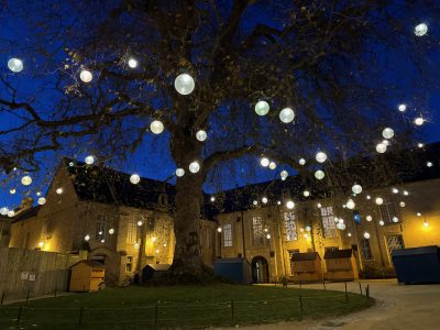 Tree with lights 