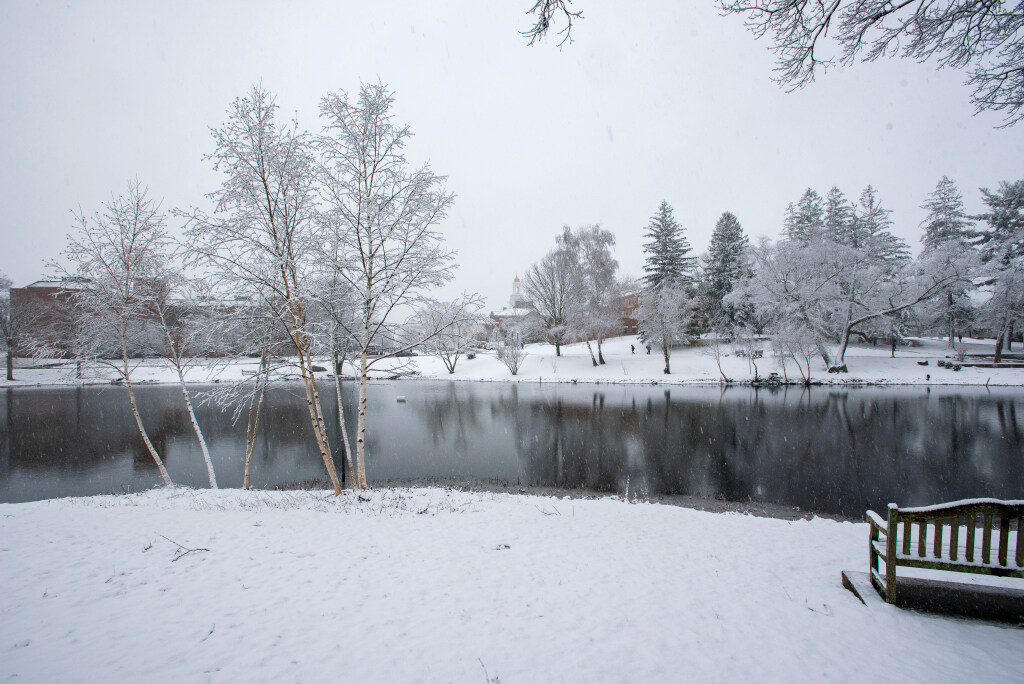 Swan Lake, Storrs Campus