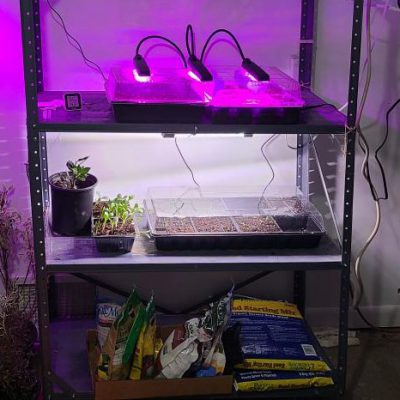 Grow light setup