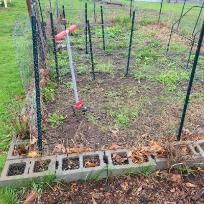 A garden bed with bare soil, weeds, and a hand tiller