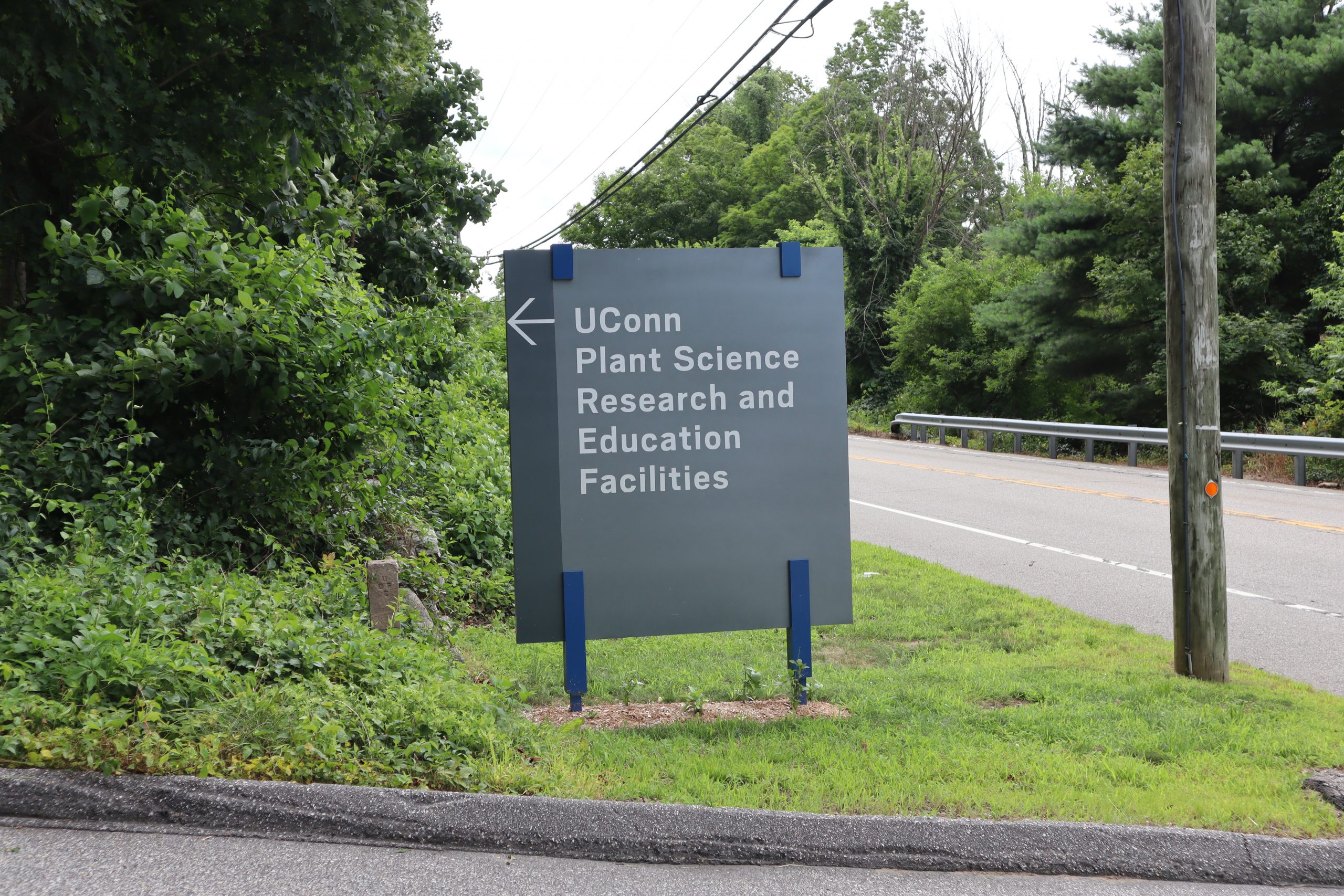 Sign on the side of the road that says UConn Plant Science Research and Education Facilities