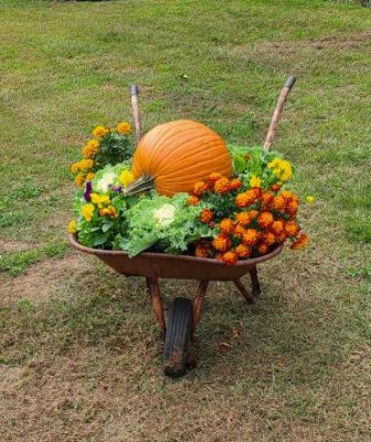 A wheelbarrow full of flowers and pumpkins
