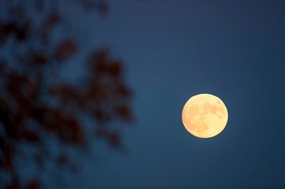 A supermoon in the night sky