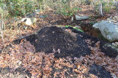 A compost pile on the edge of a woodline