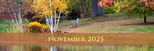 November 2025