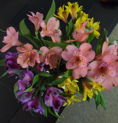 Pink, yellow, and purple Alstroemeria flowers arranged together in a small bouquet with green leaves.