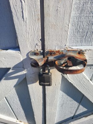 Close-up of a rusty metal latch with a padlock on a weathered gray wooden door.