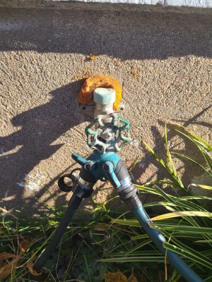 Outdoor water spigot with attached green hose and rust around the base on concrete.