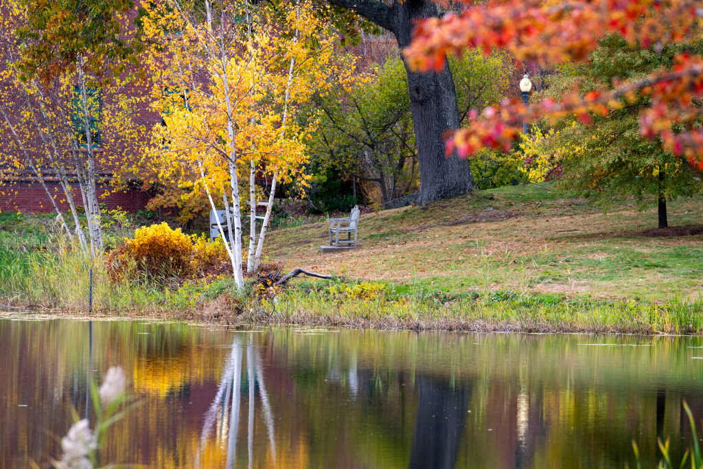 Trees in full fall color beside a pond