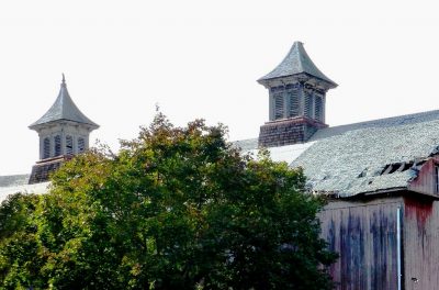 Two large cupolas with louvered vents on a weathered barn roof, partially obscured by green trees.
