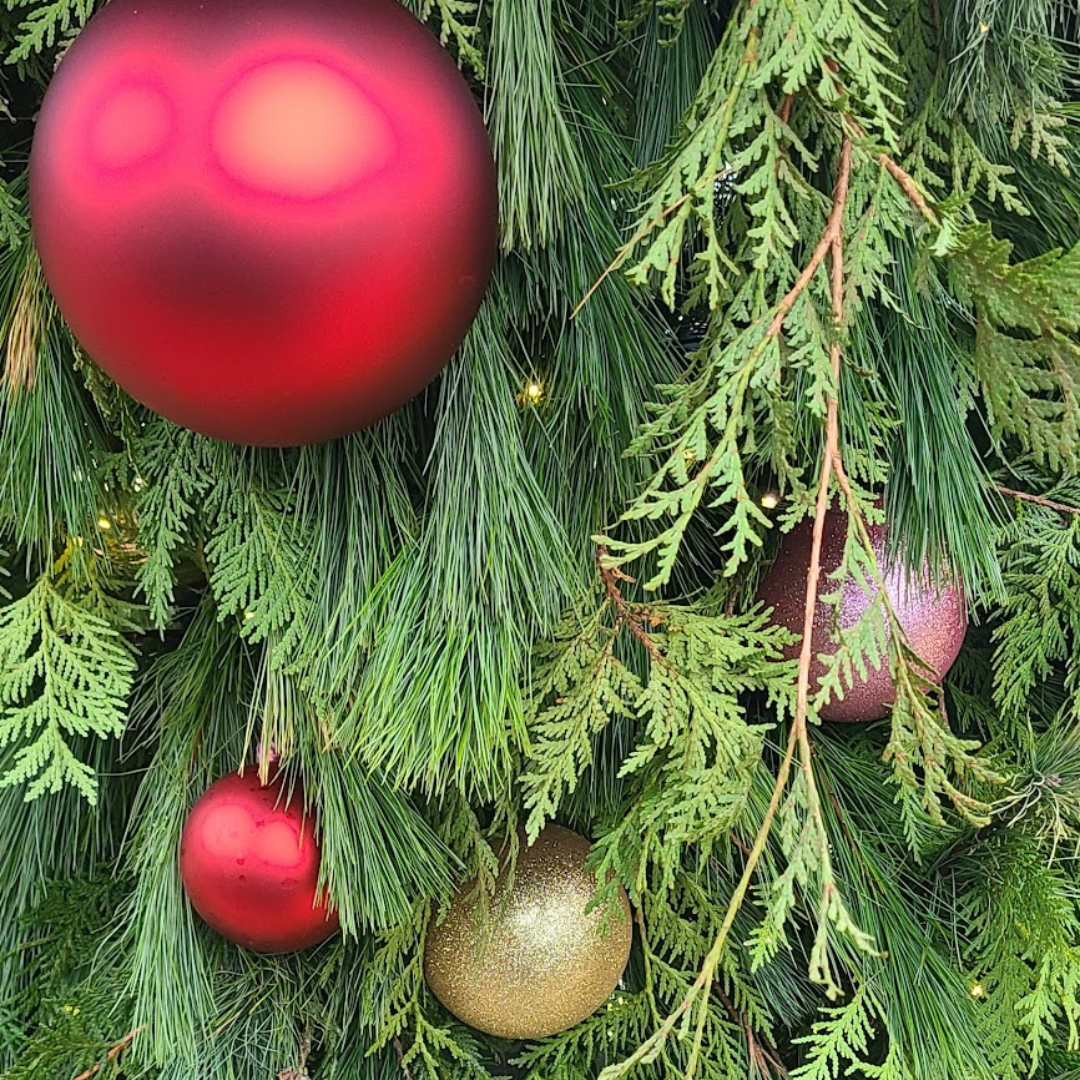 Close-up of a Christmas tree decorated with large red, gold, and pink ornaments among dense green pine branches