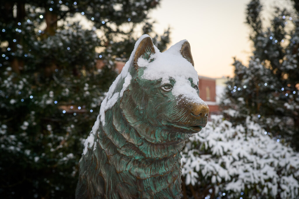 Bronze Jonathan the Husky statue, covered with snow. In the background, there are snow-dusted evergreen trees with blue lights, suggesting a winter setting.