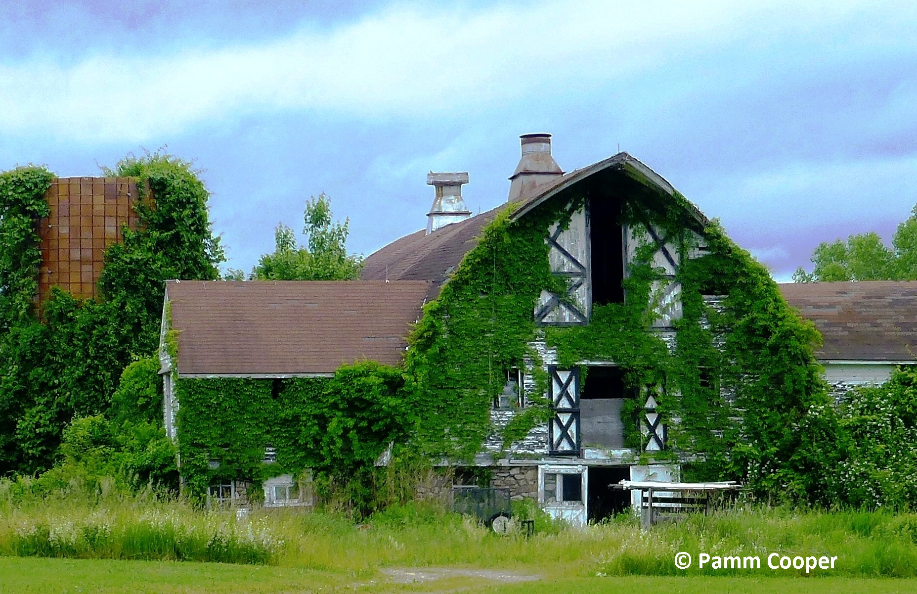 Overgrown barn with weathered wood and a vine‑covered façade, set beside a rusted silo and surrounded by tall grass under a cloudy sky.