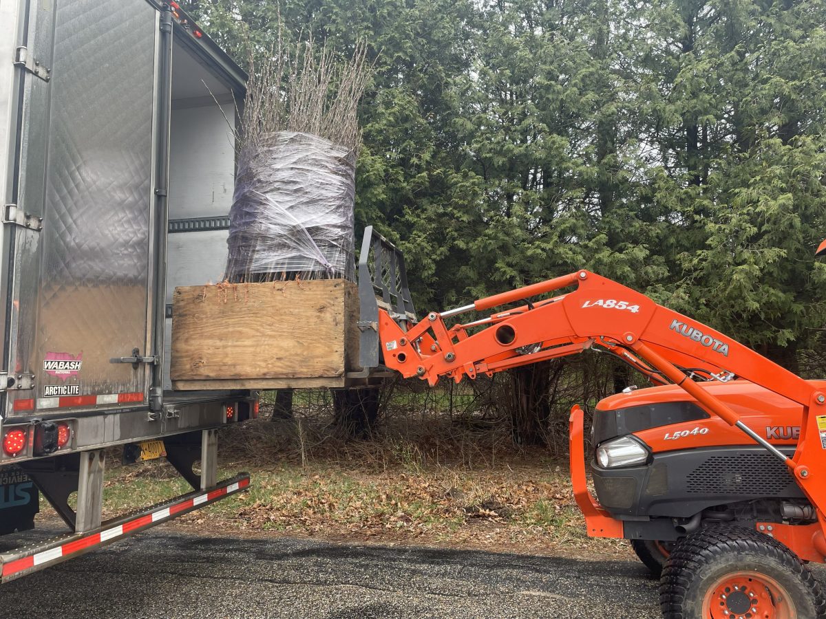 A tractor with an orange front loader lifts a large wooden crate containing bundled bare-root trees from the back of a delivery truck near a wooded area.