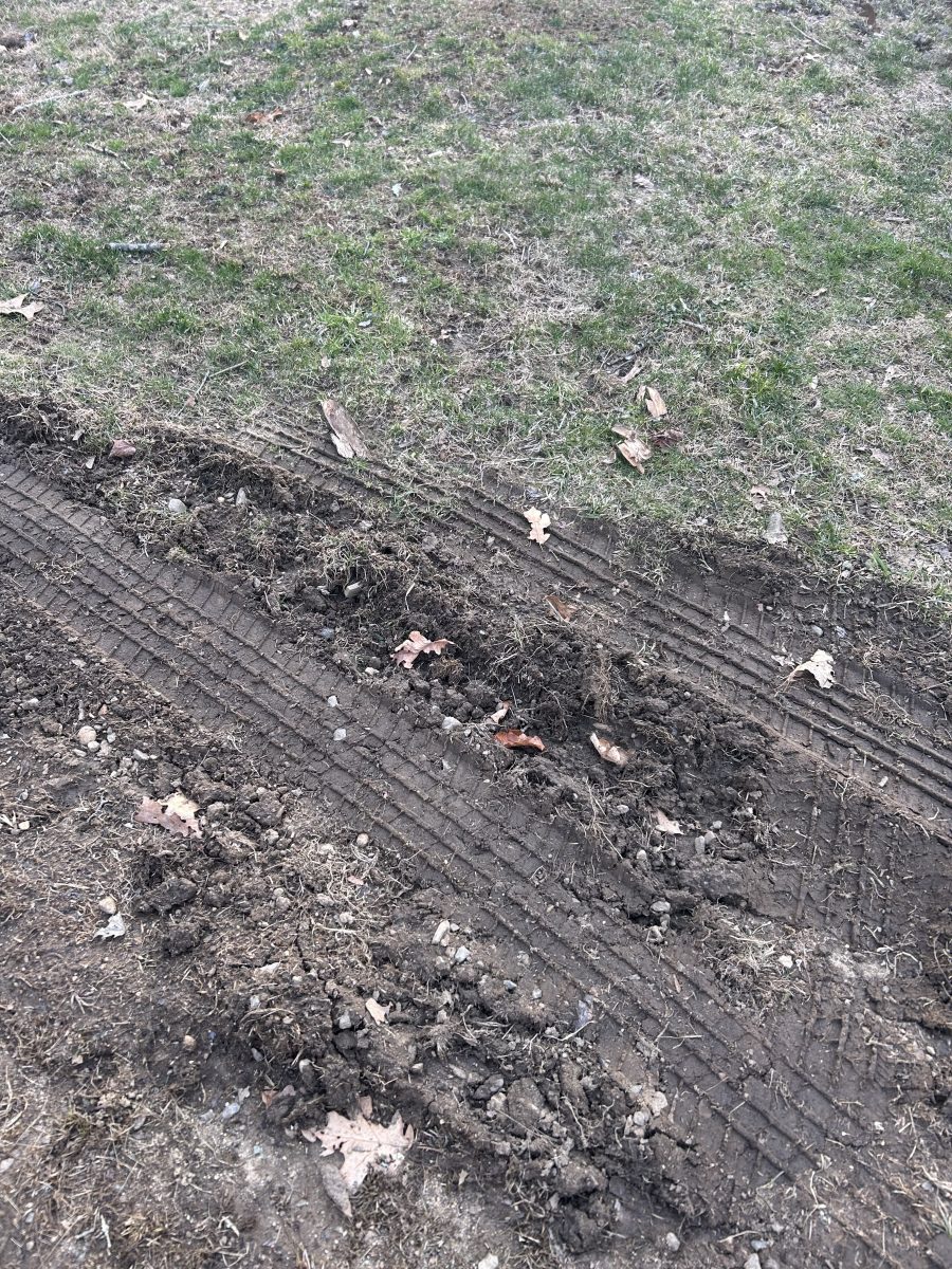 Bare soil and patchy grass showing deep tire tracks and compacted earth across a lawn area.