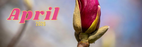 Close-up of a pink flower bud beginning to bloom against a soft blue sky, with the words “April 2026” in decorative lettering on the left.*
