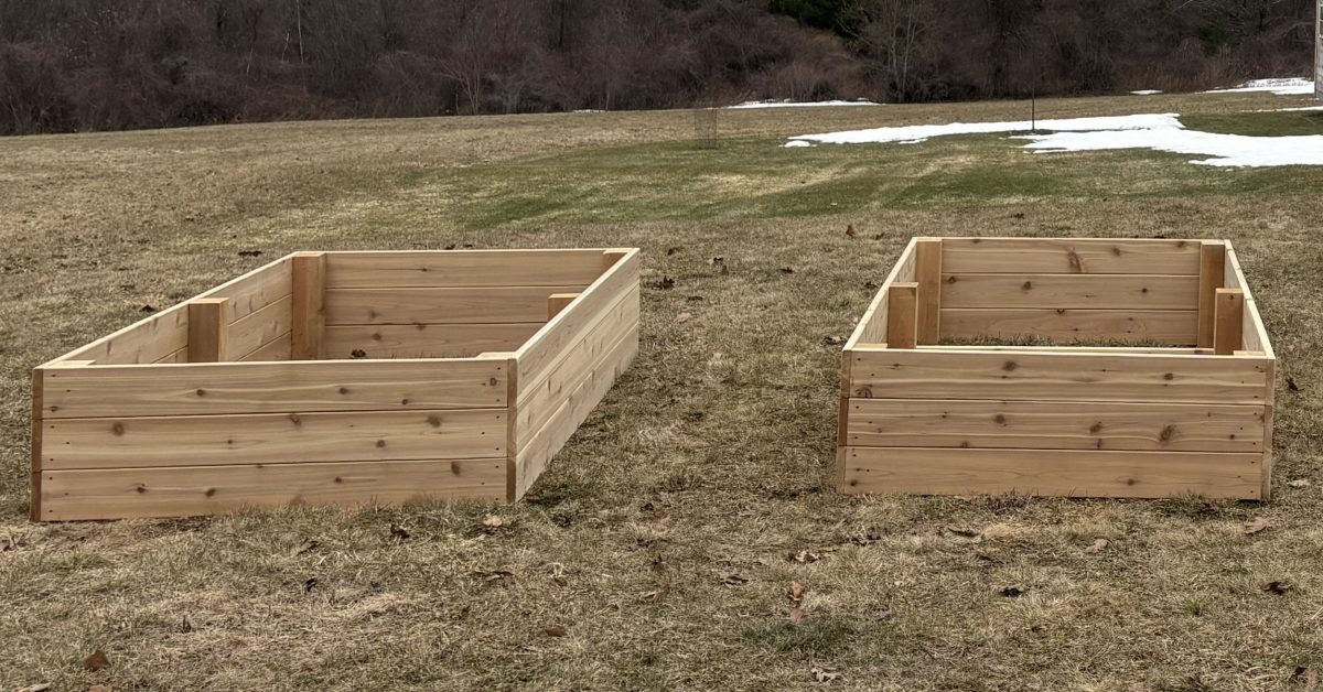 Two empty wooden raised garden beds placed on a grassy field, spaced apart and framed with light-colored lumber.