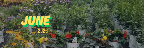 Rows of potted flowering plants and leafy green foliage arranged in a garden center, with colorful blooms in yellow, orange, red, and purple. Bold text reading “JUNE 2026” appears over the image.