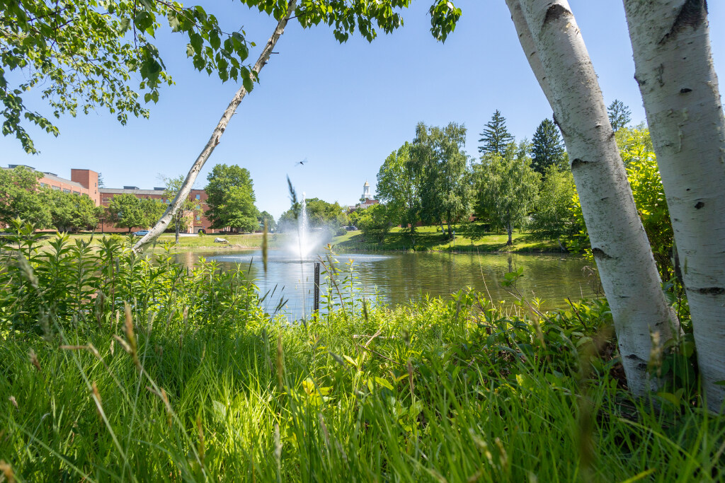 Grassy lakeshore with birch trees framing a pond, a water fountain spraying at the center, and buildings and trees in the background under a clear blue sky.