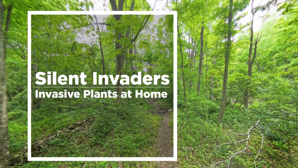 Text overlay reading “Silent Invaders: Invasive Plants at Home” centered within a white frame over a lush green forest scene with trees and a narrow trail.