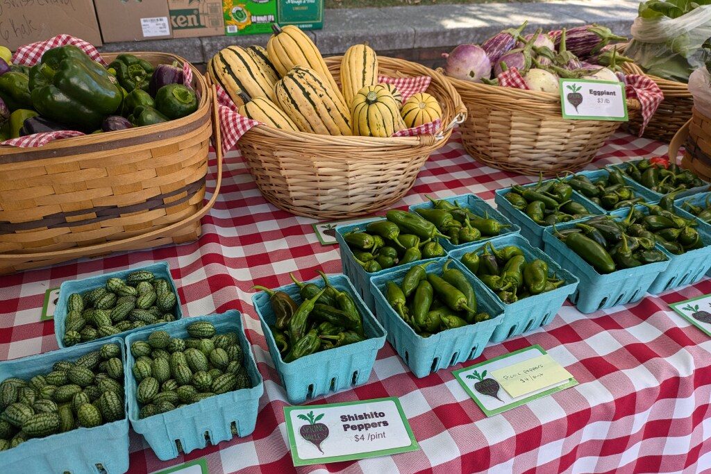 Baskets of fresh vegetables at a farmers market, including squash, eggplant, cucamelons, and assorted green peppers displayed on a red-and-white checkered tablecloth with price signs.