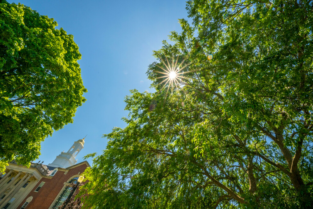 Sun Shining through trees near a brick building